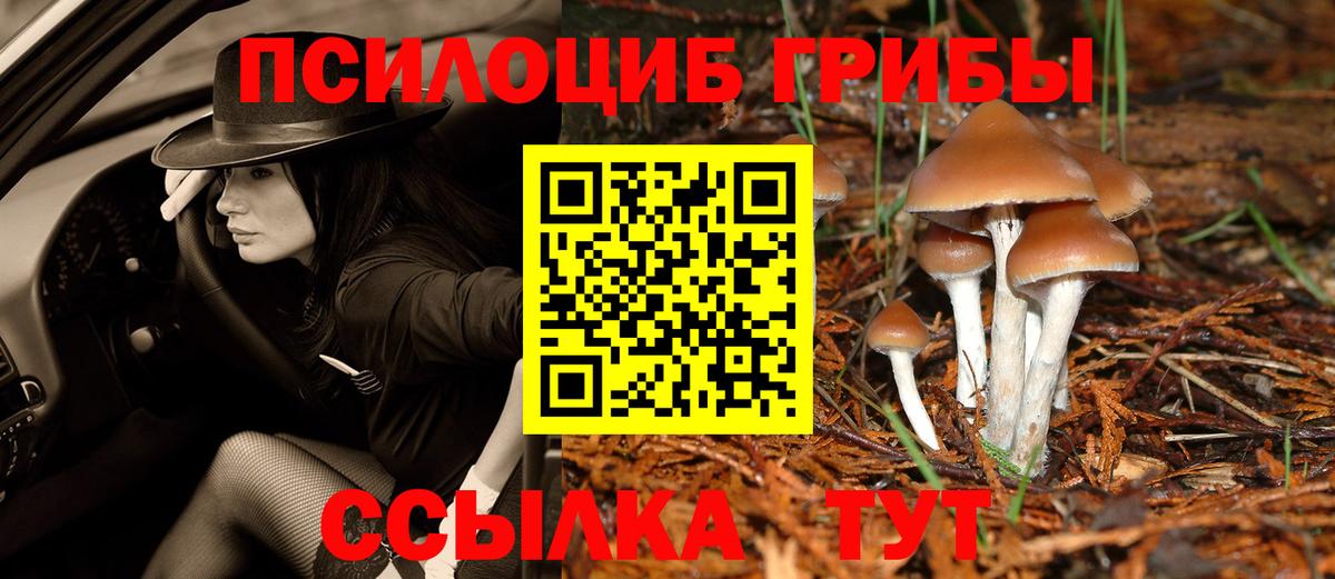 где продают наркотики  Галлюциногенные грибы Magic Shrooms  Вход с VPN  Знаменск 