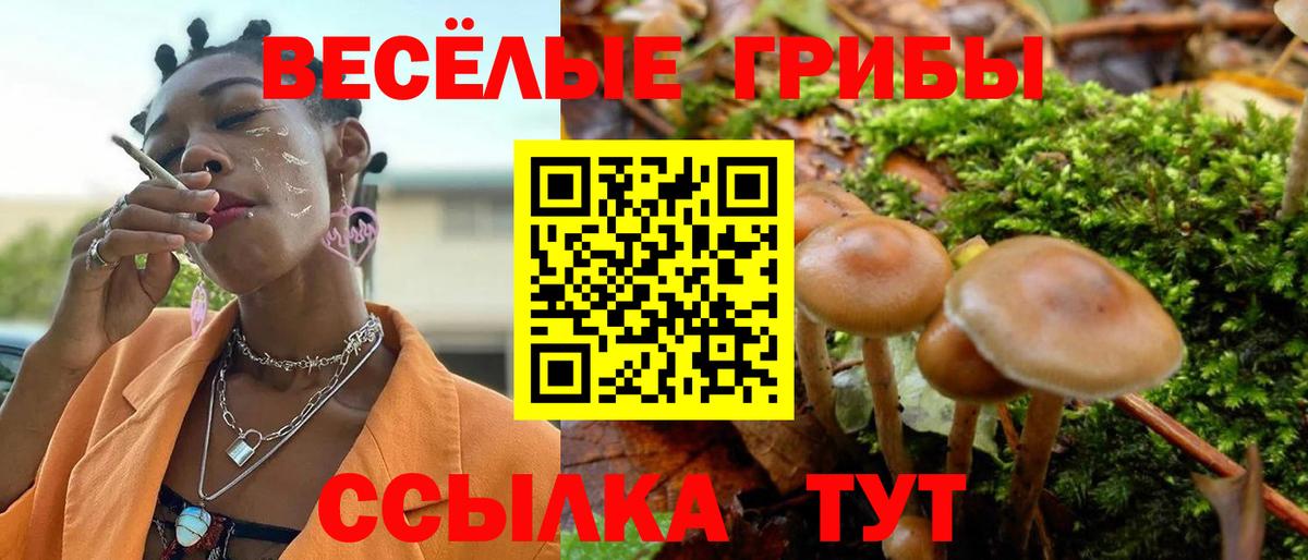 Псилоцибиновые грибы прущие грибы Знаменск